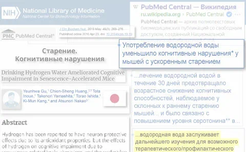 Предотвращение возрастного снижения когнитивных функций, сохранение памяти