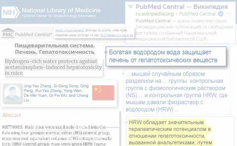 Повреждения печени: водородотерапия защищает от гибели гепатоцитов