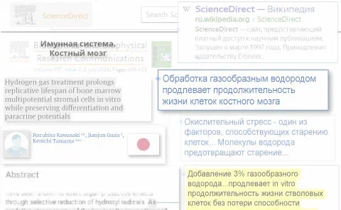Увеличение продолжительности жизни стволовых клеток костного мозга при пересадке
