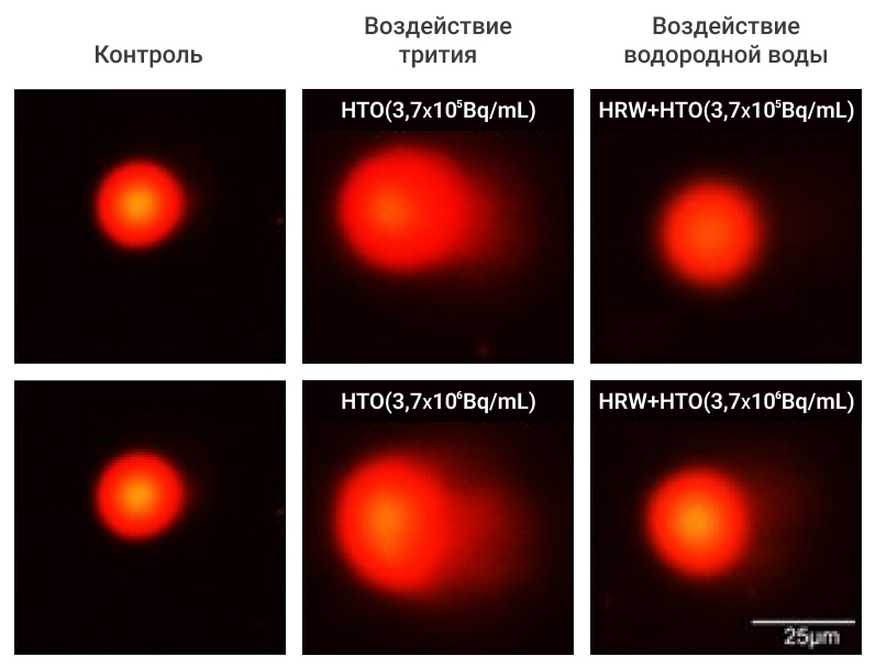 Воздействие трития на ДНК