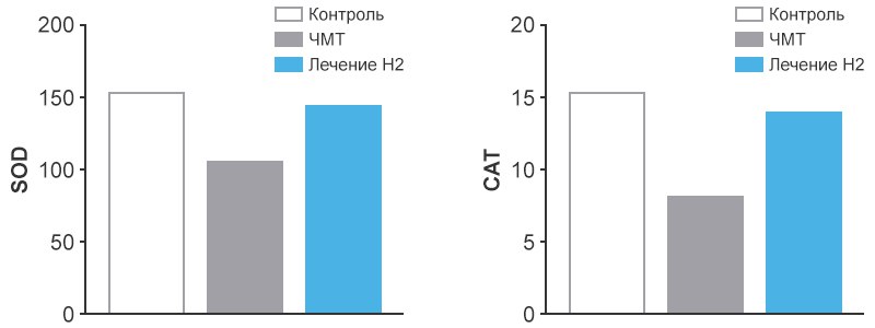 Антиоксидантные ферменты