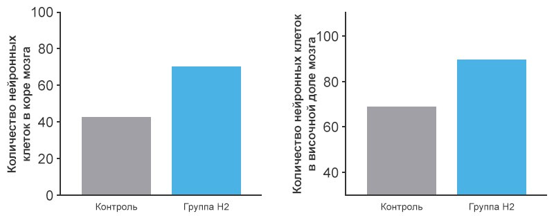 Снижение риска патологий в мозге после травм