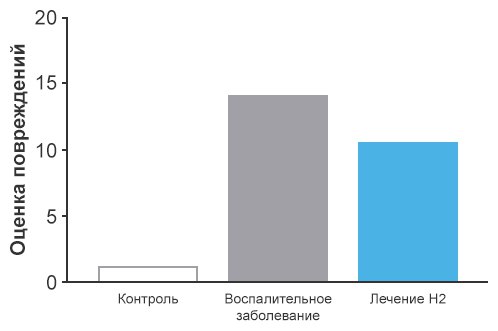 Воспалительные заболевания кишечника