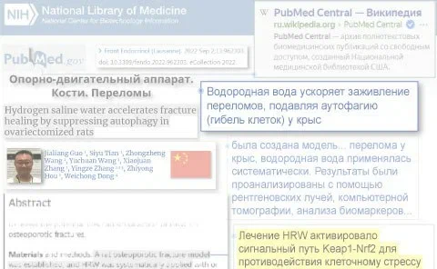 Остеопороз: водород ускоряет заживление переломов