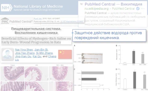 Воспаление кишечника: лечебно-профилактическое действие Н2