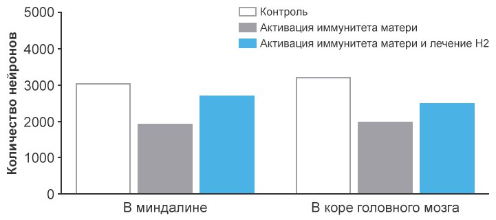Профилактика дефектов развития нервной системы