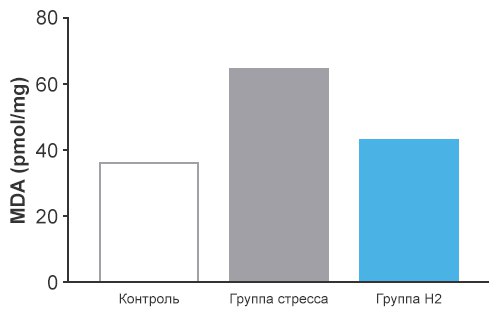 Снижение памяти и обучаемости